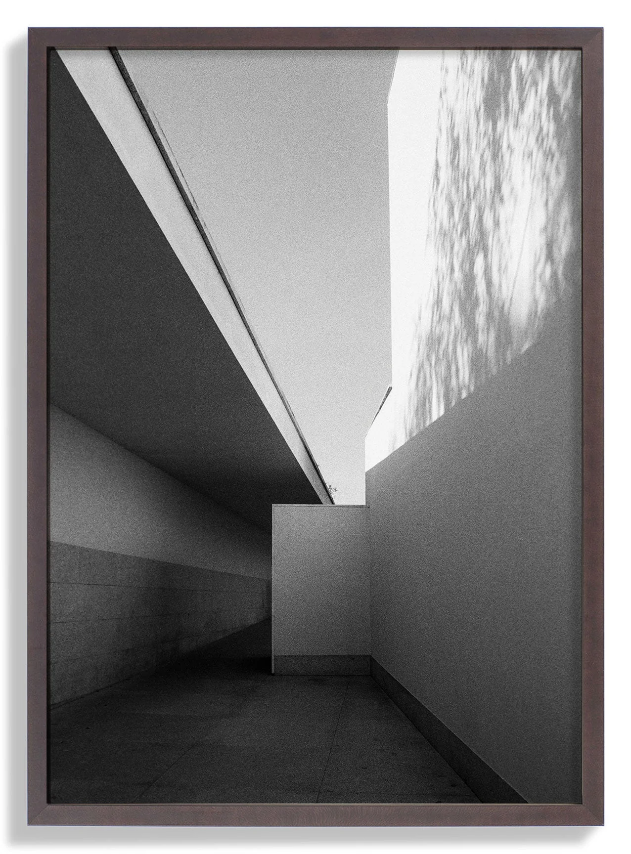 Fundação Serralves Extension by Sophie Robinson - Image 4