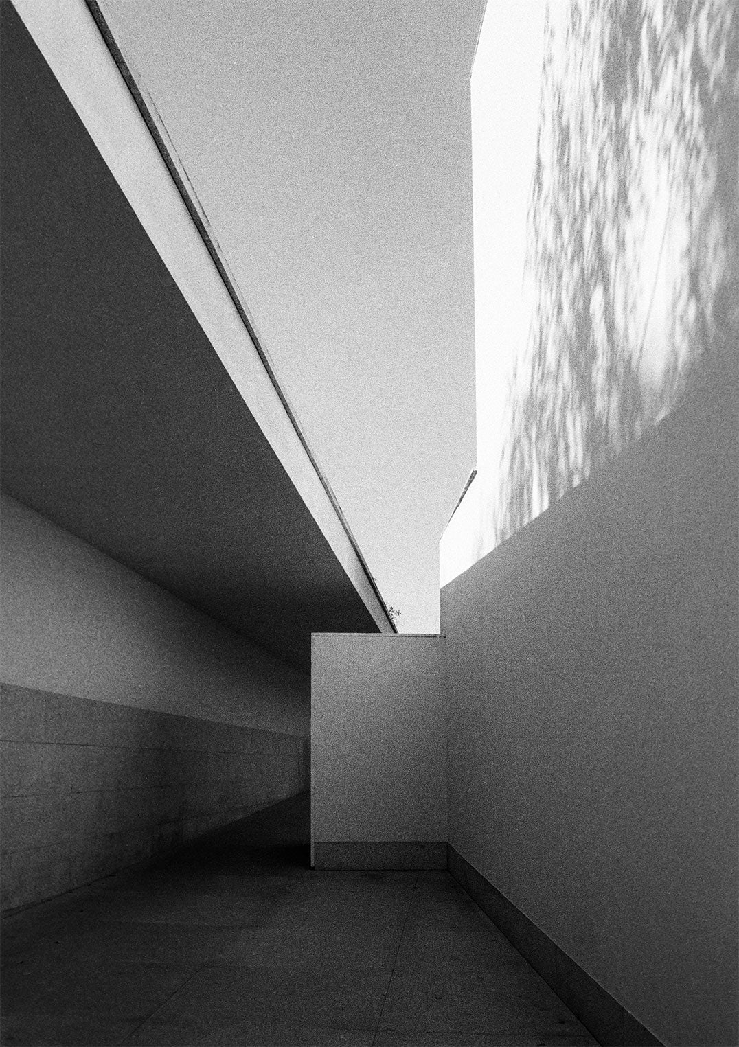 Fundação Serralves Extension by Sophie Robinson - Image 5