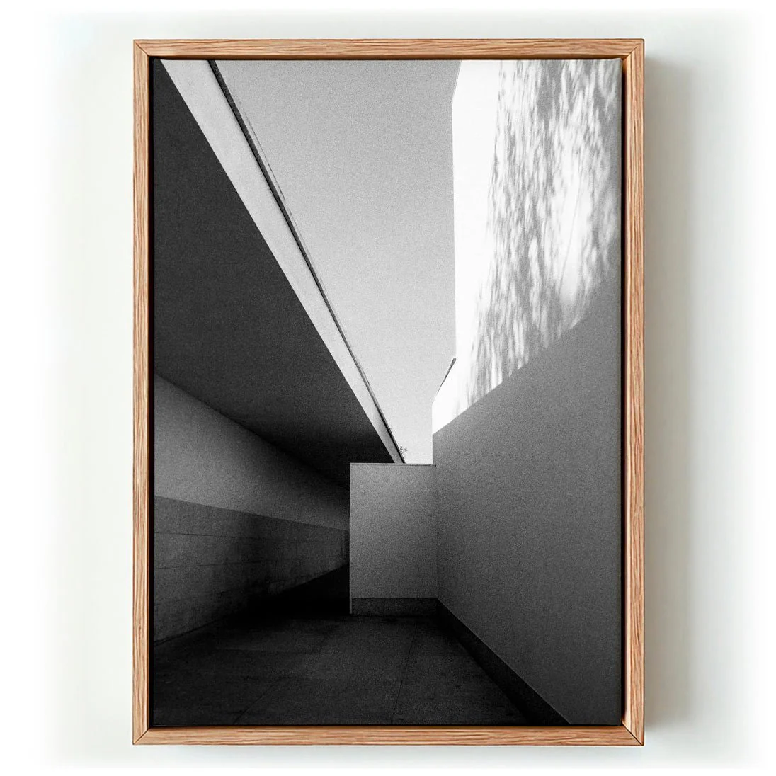Fundação Serralves Extension by Sophie Robinson