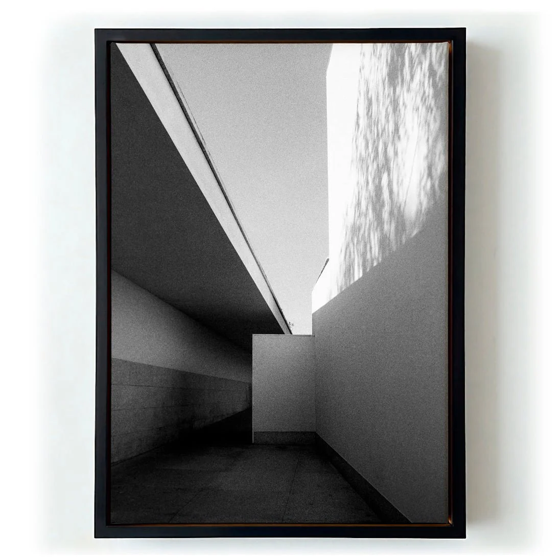 Fundação Serralves Extension by Sophie Robinson - Image 5