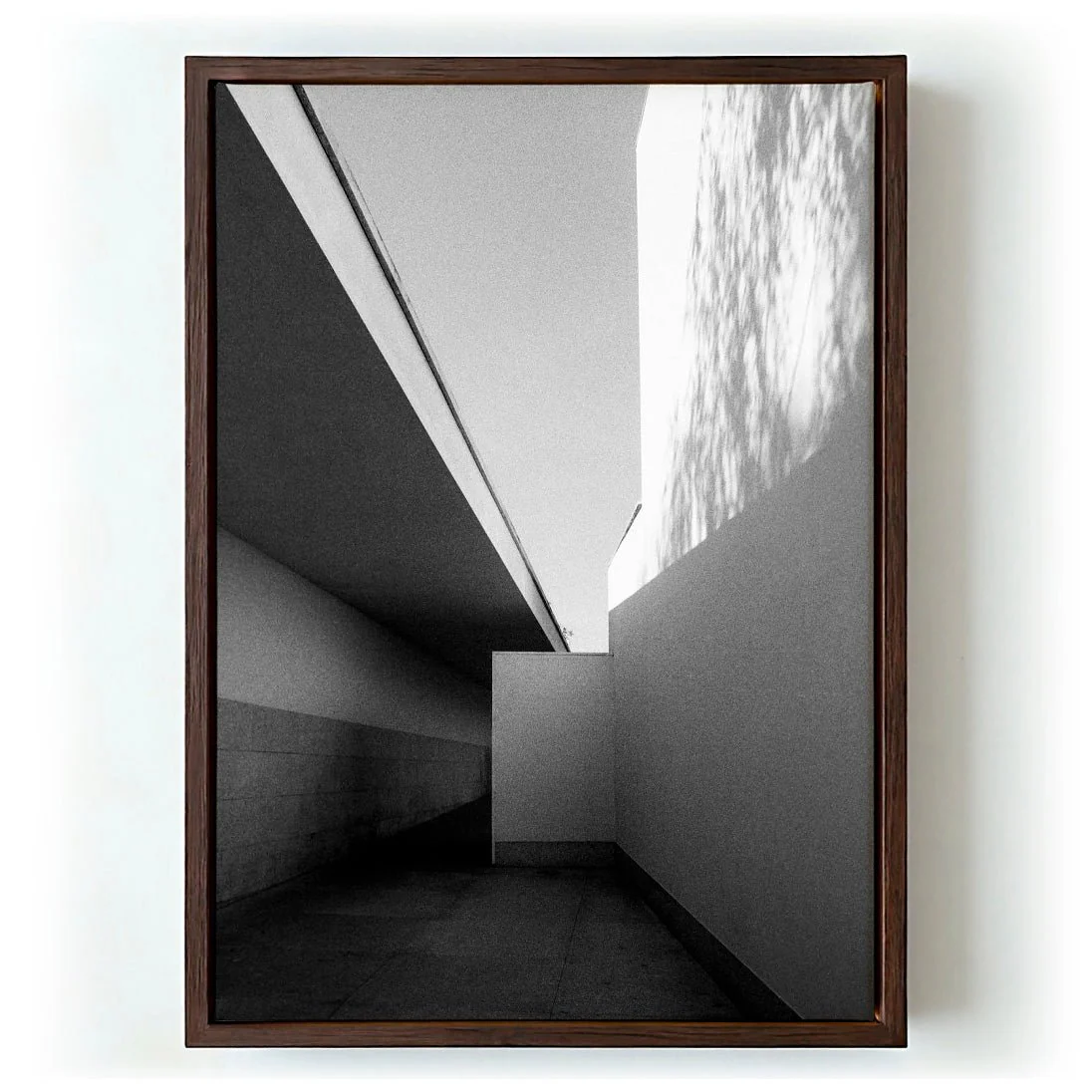 Fundação Serralves Extension by Sophie Robinson - Image 6