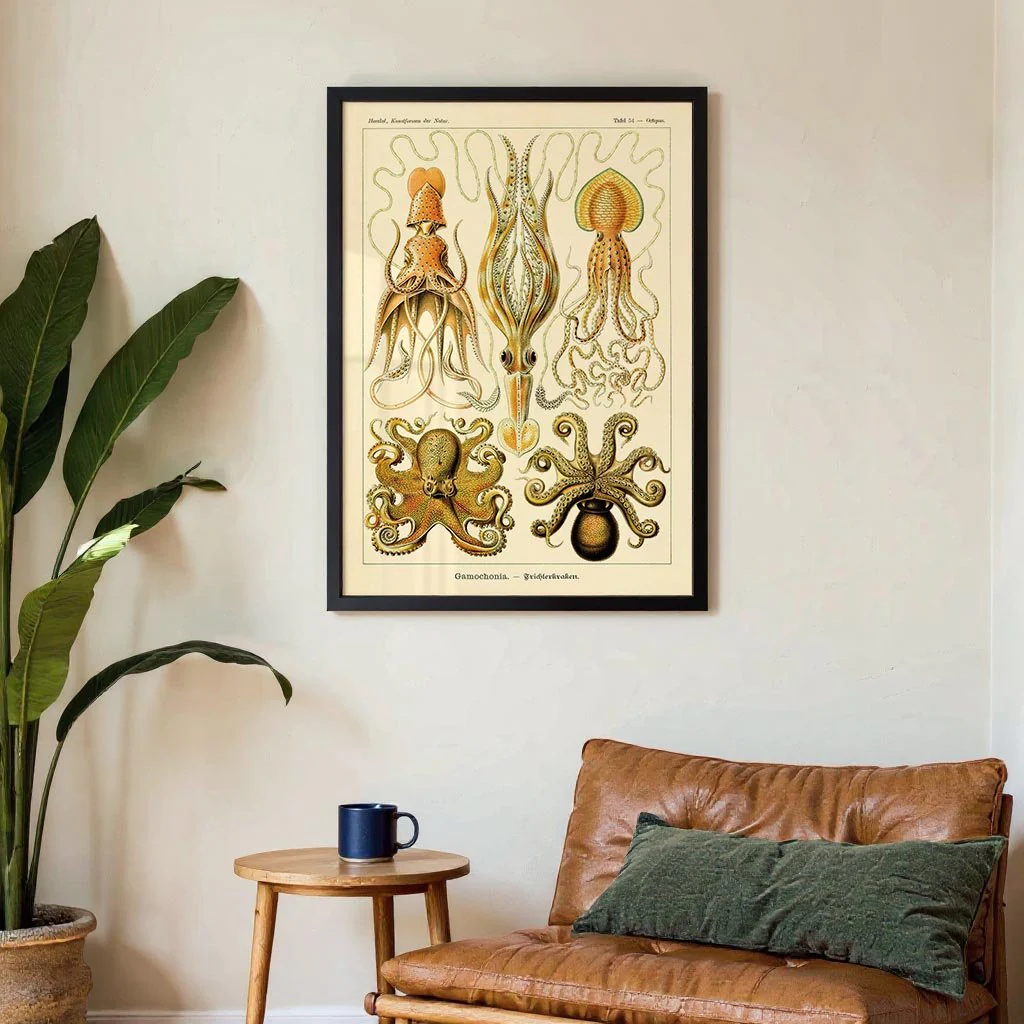 Gamochonia by Ernst Haeckel - Image 3