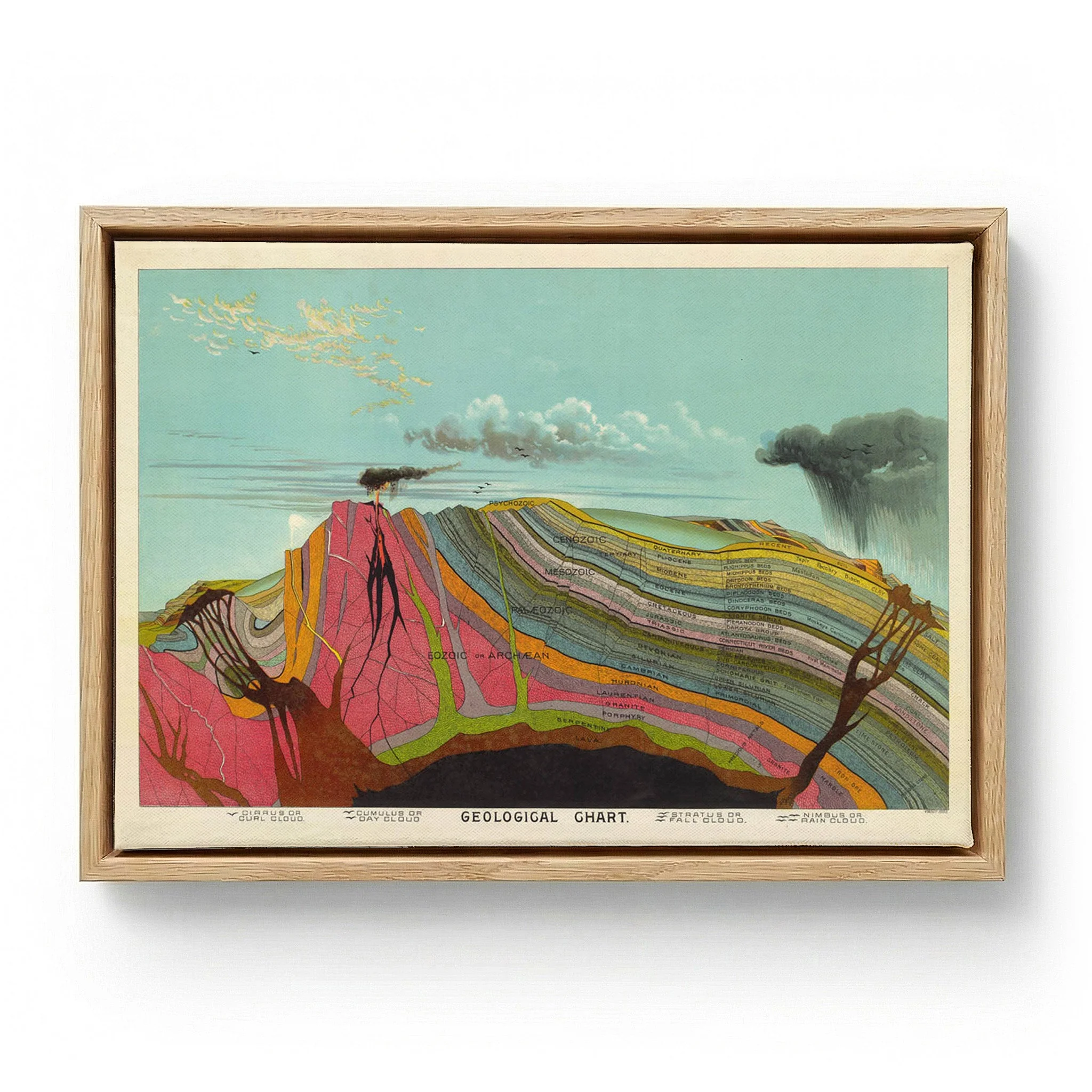 Geological Vintage Educational