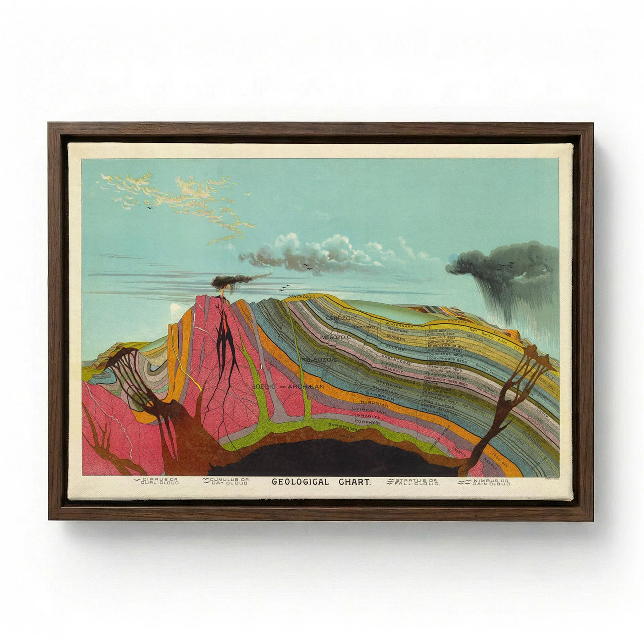 Geological Vintage Educational - Image 6