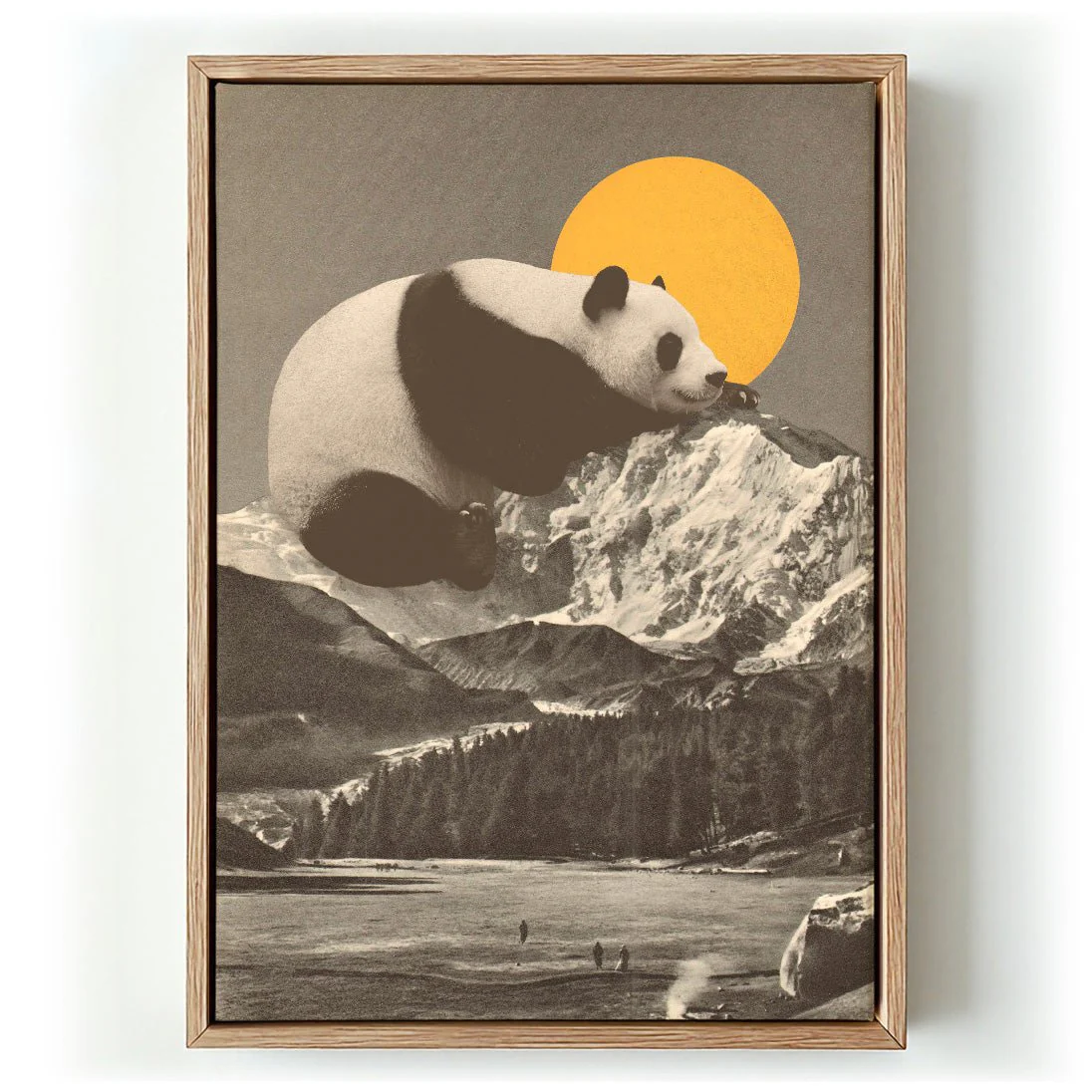 Giant Panda Nap by Florent Bodart