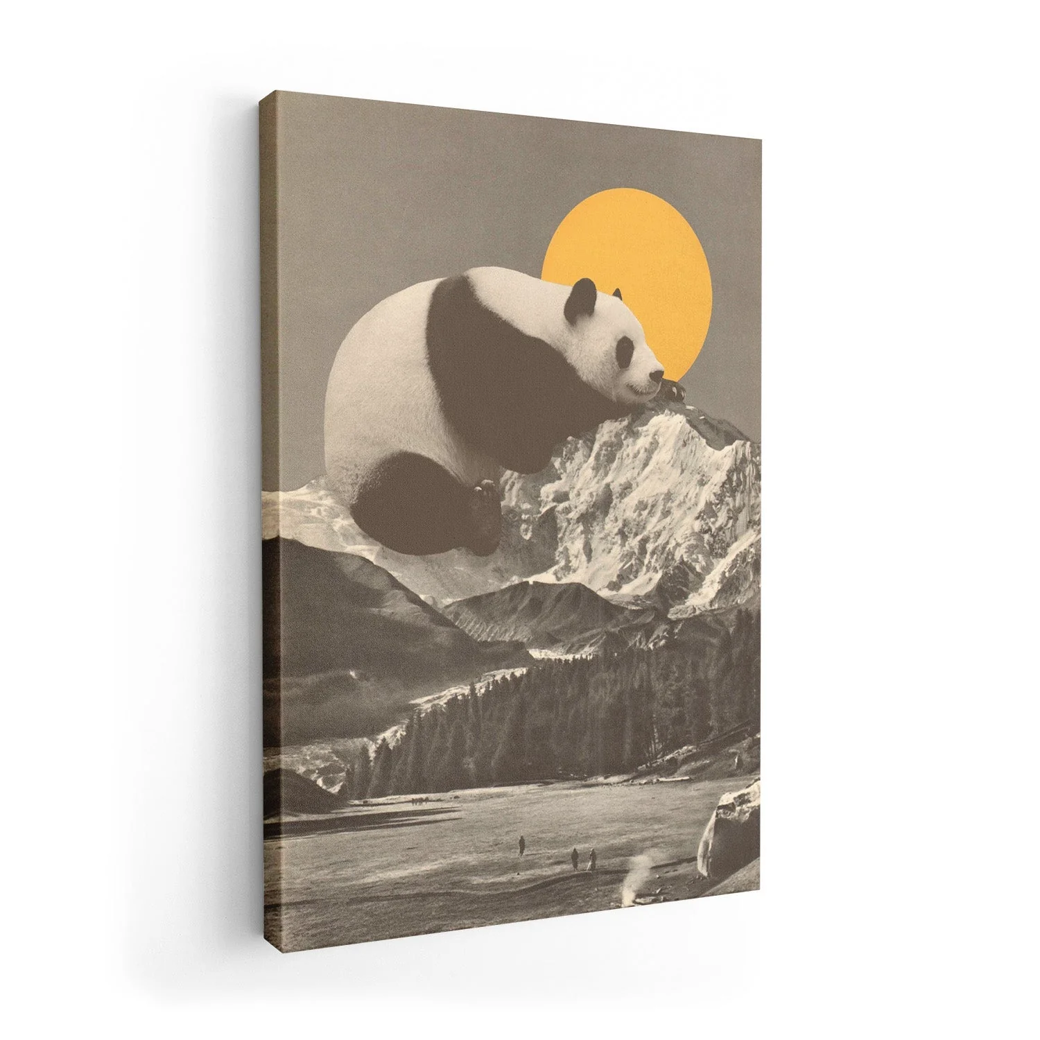 Giant Panda Nap by Florent Bodart - Image 7