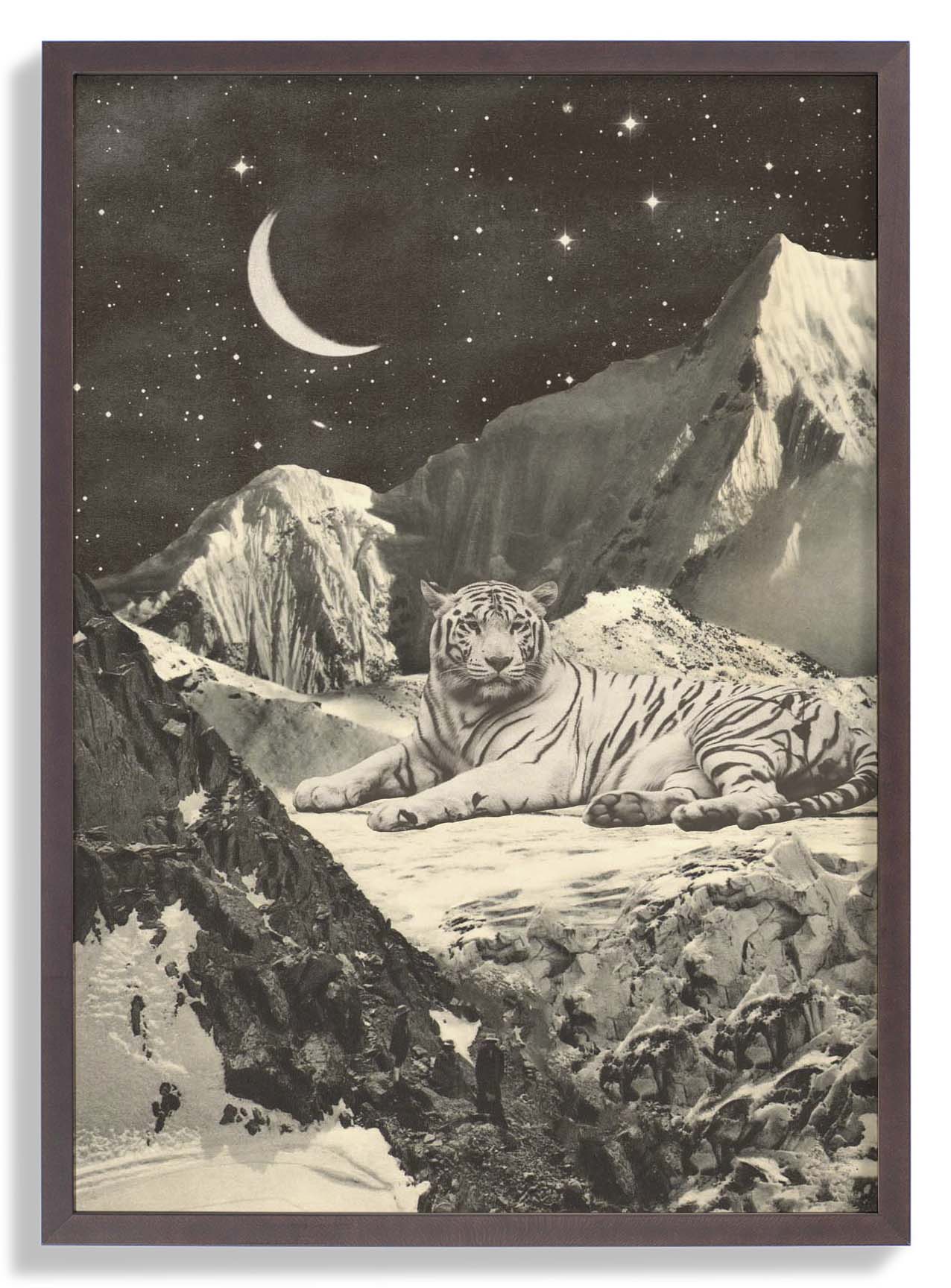 Giant White tiger in Mountains by Florent Bodart - Image 7