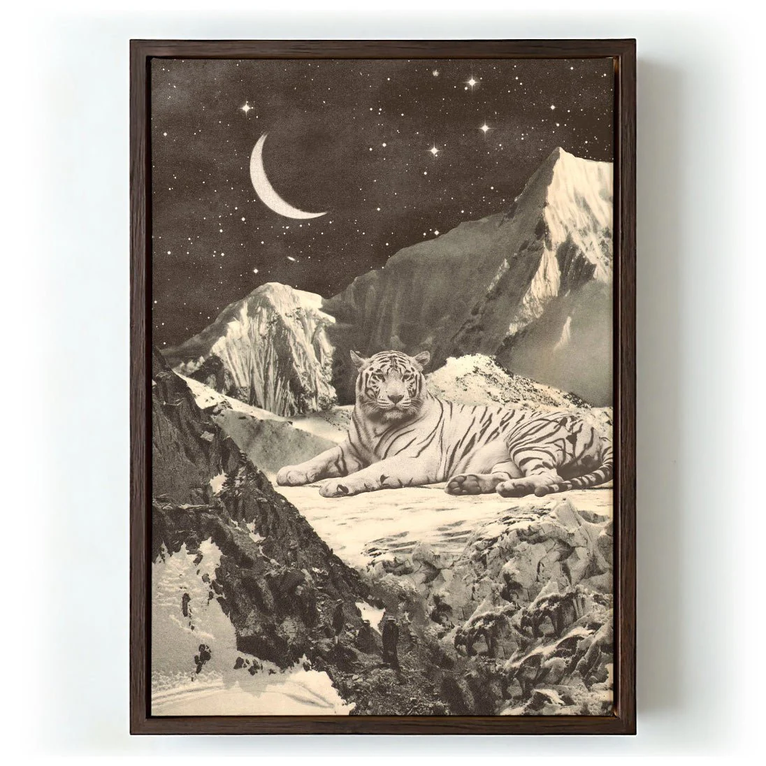Giant White tiger in Mountains by Florent Bodart - Image 5