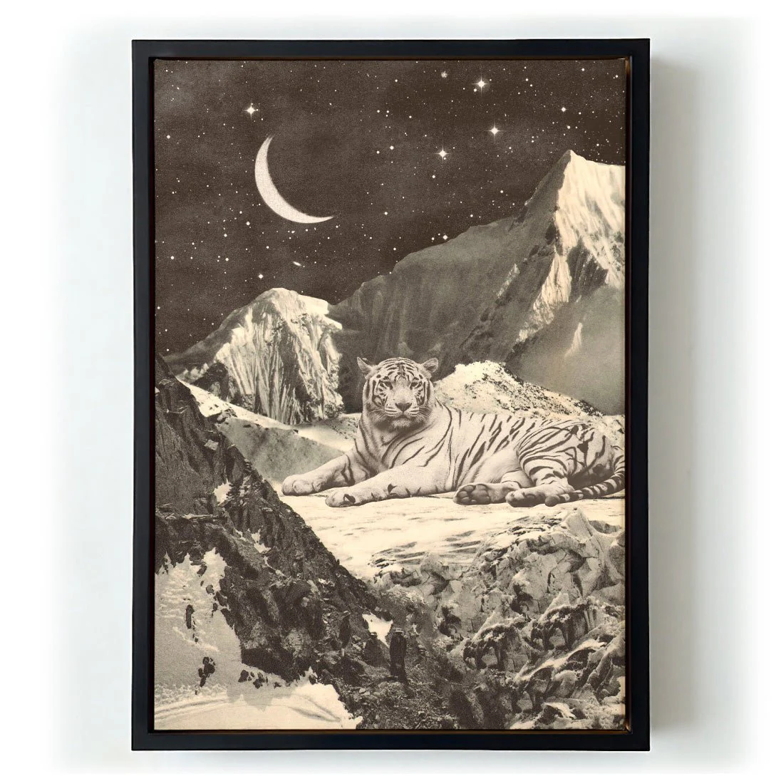 Giant White tiger in Mountains by Florent Bodart - Image 6