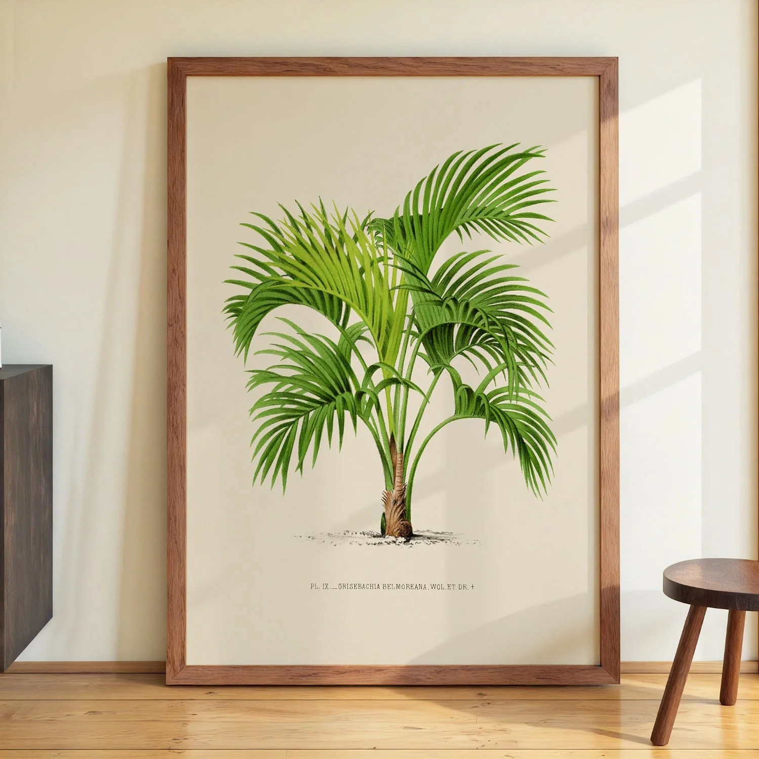 Grisebachia Belmoreana Palm Tree Art Print - Image 3