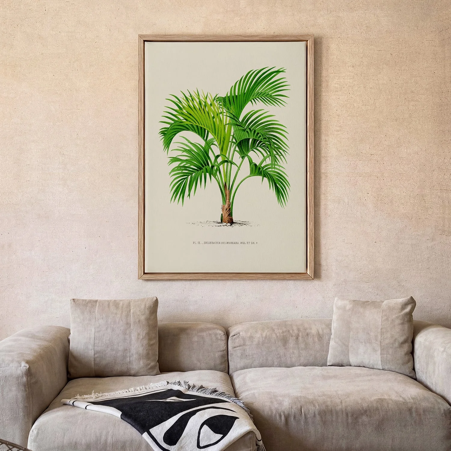Grisebachia Belmoreana Palm Tree Art Print - Image 2