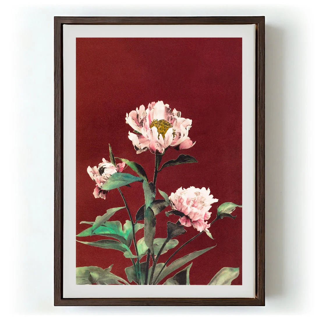 Hærdaceous Peony by Ogawa Kazumasa - Image 5