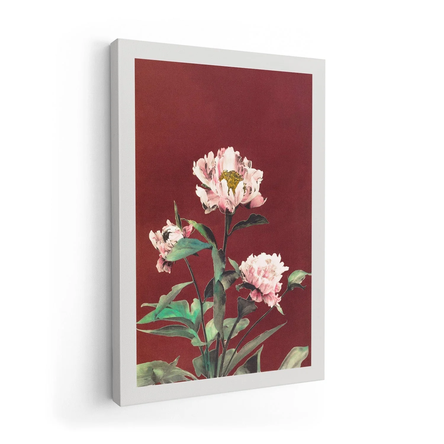 Hærdaceous Peony by Ogawa Kazumasa - Image 7