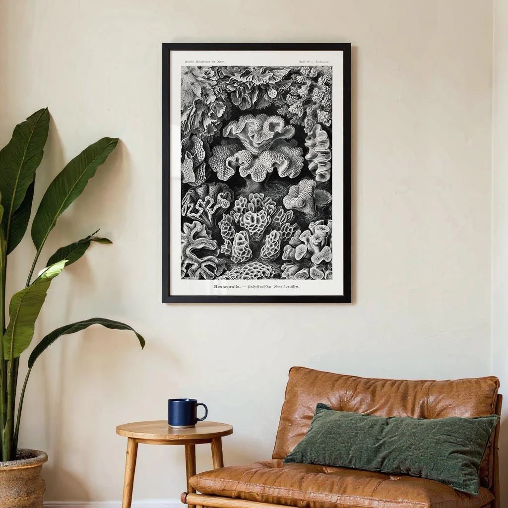 Hexacoralla I by Ernst Haeckel - Image 3