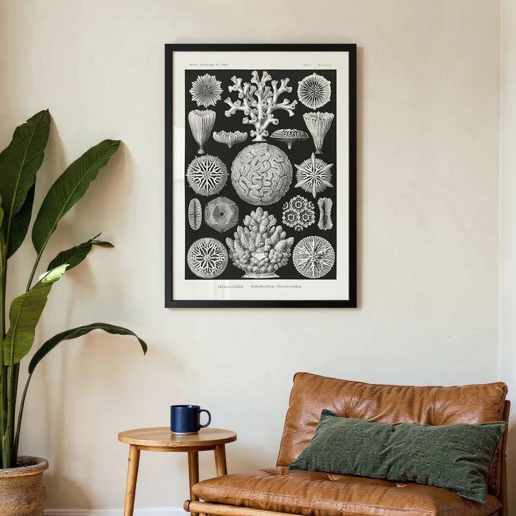 Hexacoralla II by Ernst Haeckel - Image 3