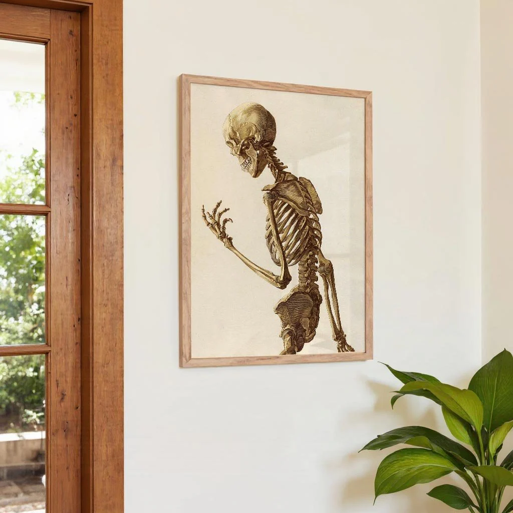 Human Skeleton - Image 4