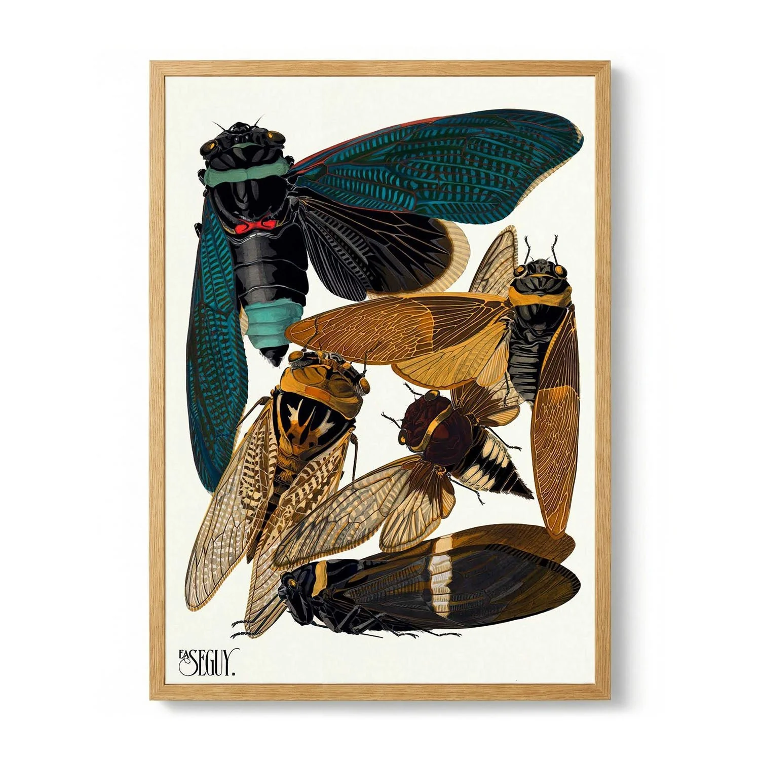 Insectes Pl.01 by Émile-Allain Séguy