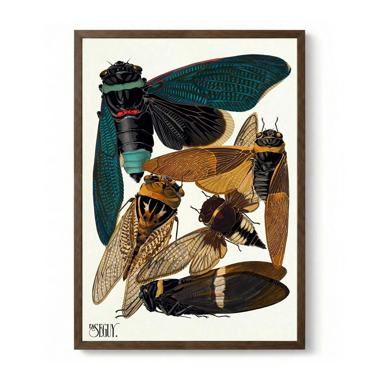 Insectes Pl.01 by Émile-Allain Séguy - Image 6