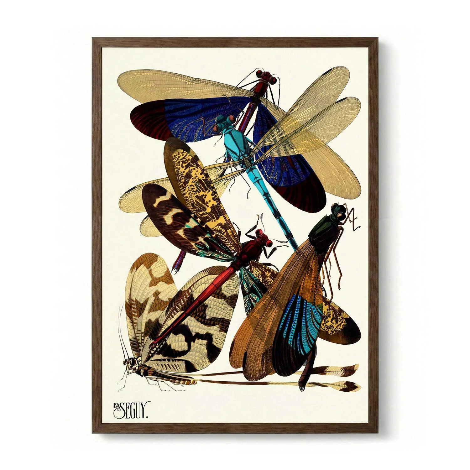 Insectes Pl.02 by Émile-Allain Séguy - Image 6