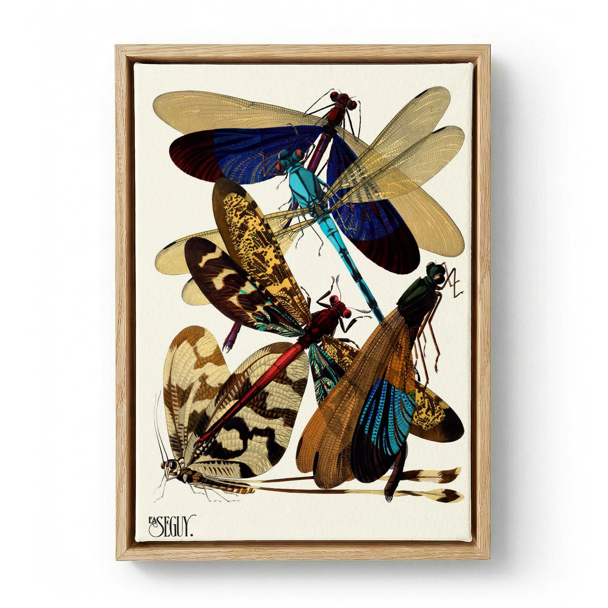Insectes Pl.02 by Émile-Allain Séguy