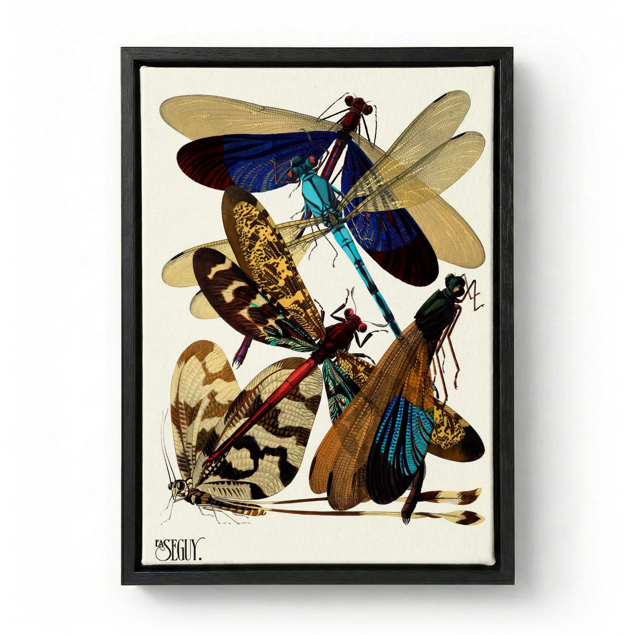 Insectes Pl.02 by Émile-Allain Séguy - Image 5