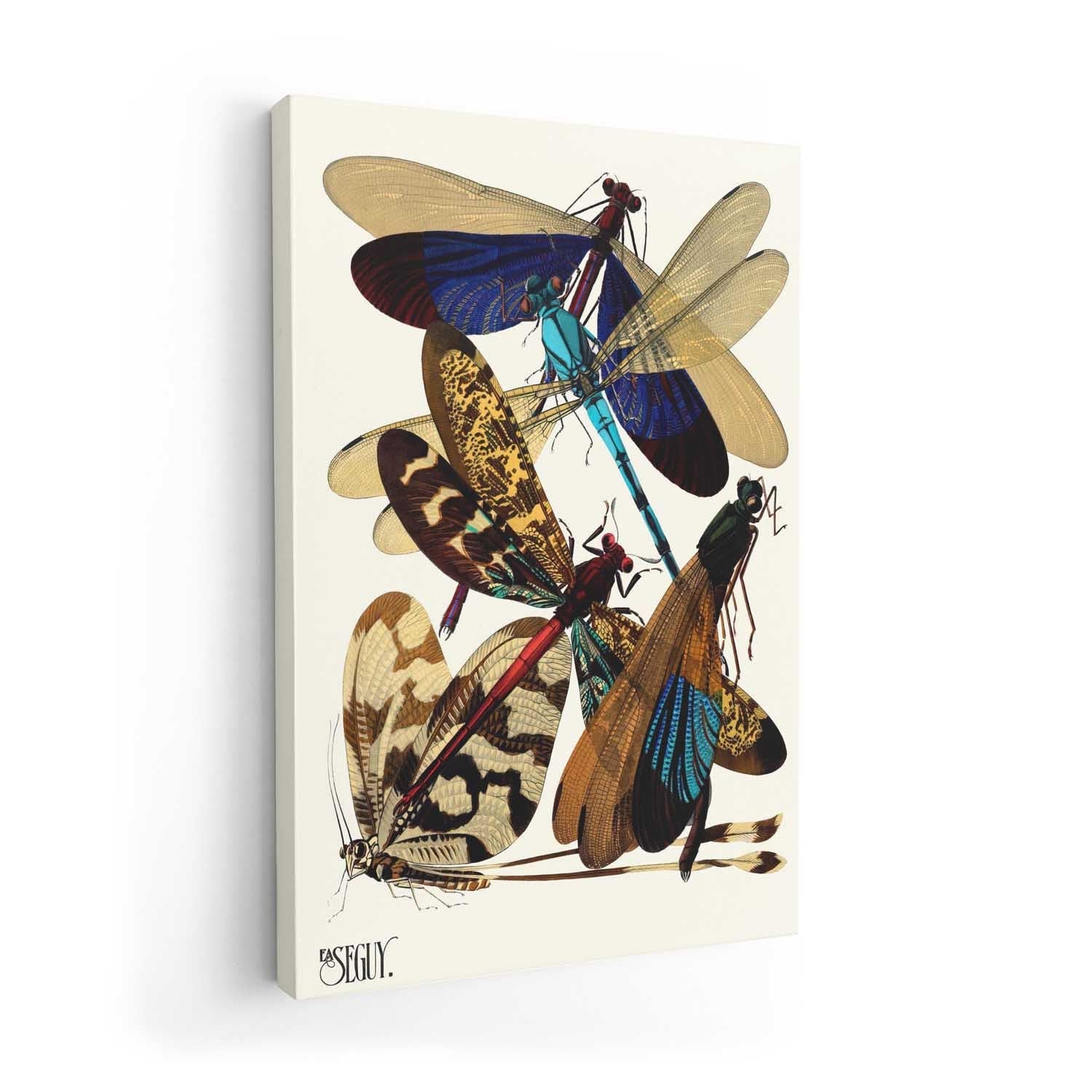 Insectes Pl.02 by Émile-Allain Séguy - Image 7