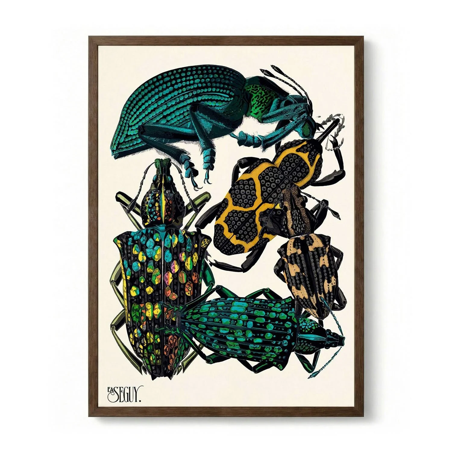 Insectes Pl.06 by Émile-Allain Séguy - Image 6
