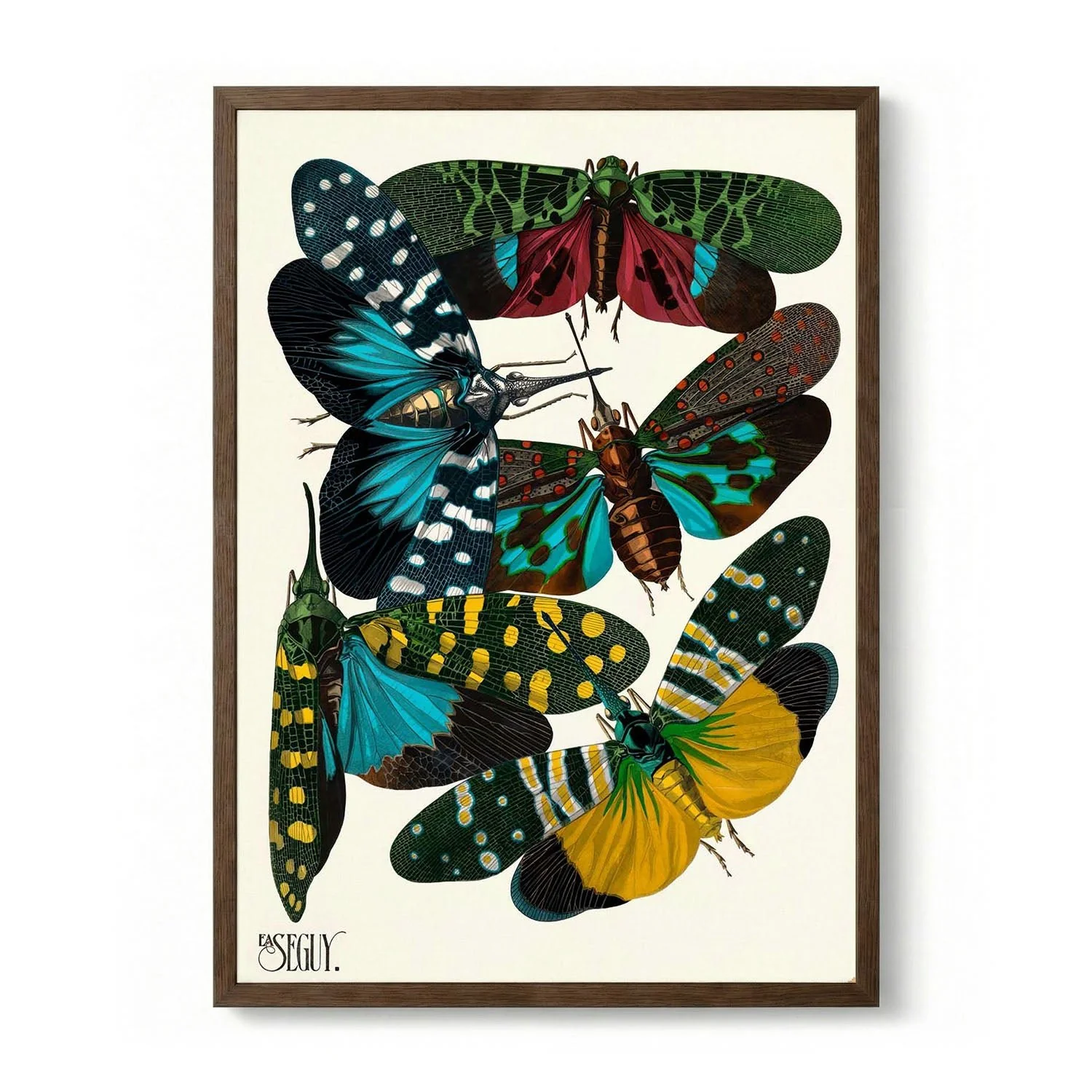 Insectes Pl.08 by Émile-Allain Séguy - Image 6