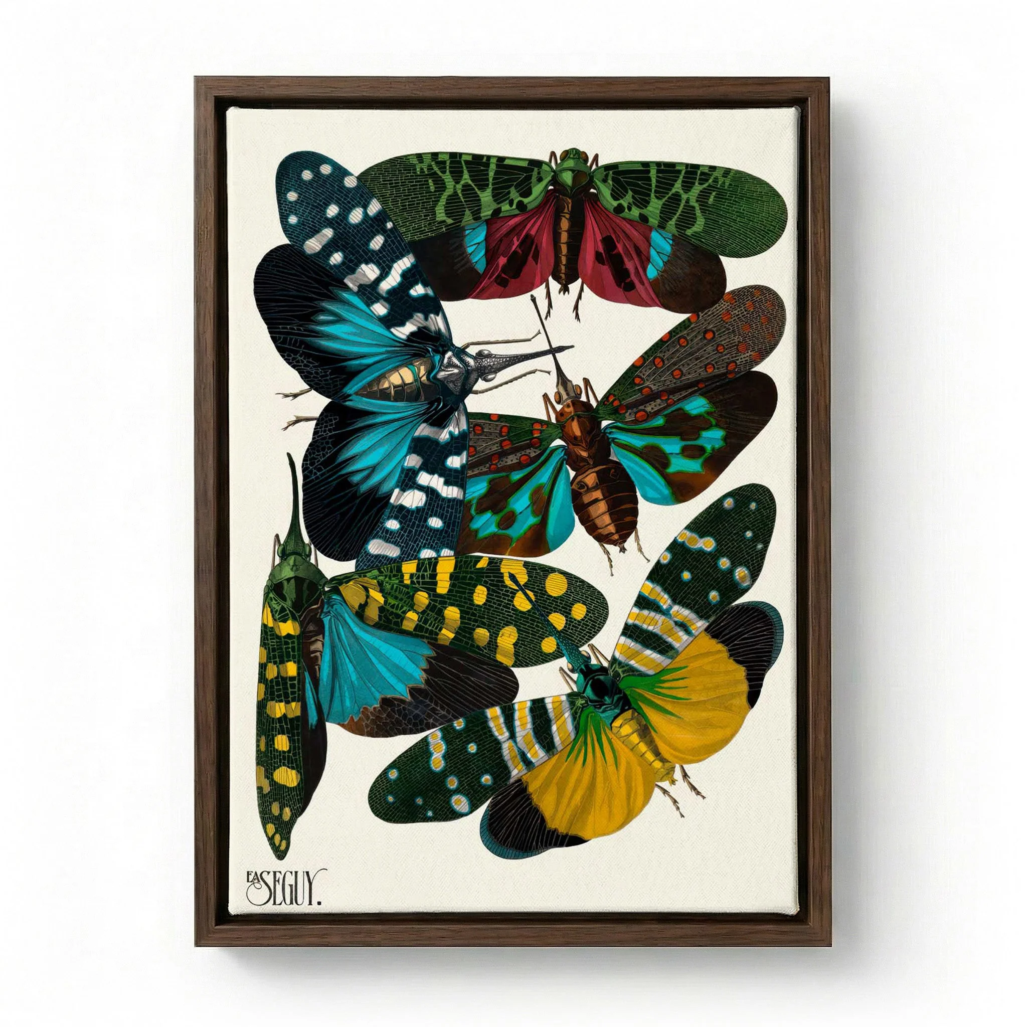 Insectes Pl.08 by Émile-Allain Séguy - Image 6