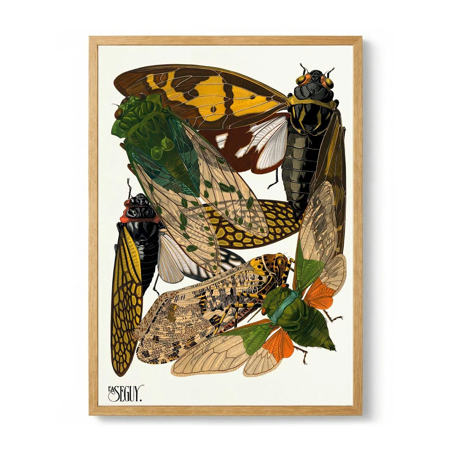 Insectes Pl.12 by Émile-Allain Séguy