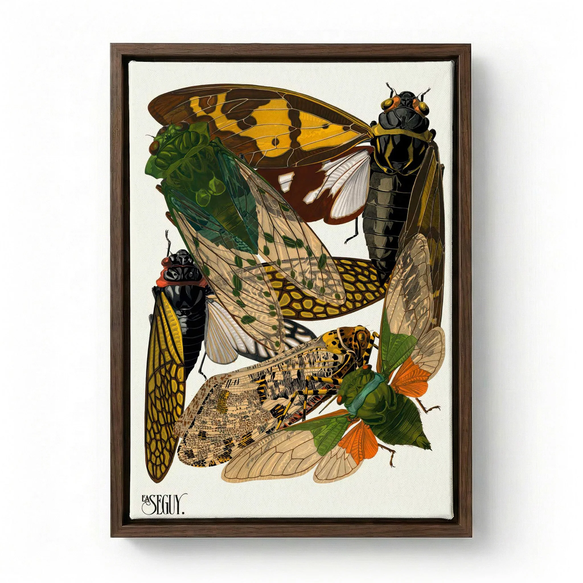 Insectes Pl.12 by Émile-Allain Séguy - Image 6