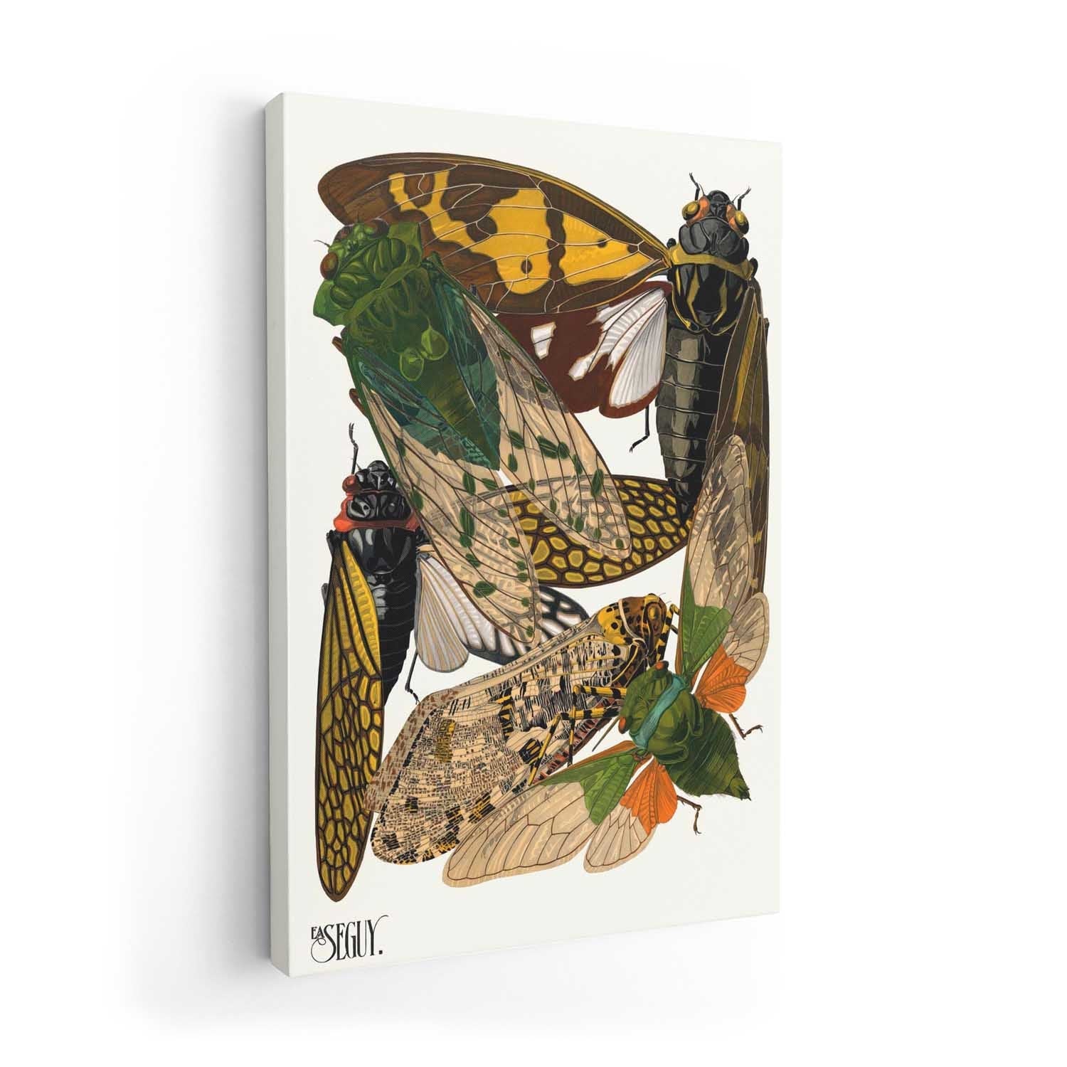 Insectes Pl.12 by Émile-Allain Séguy - Image 7