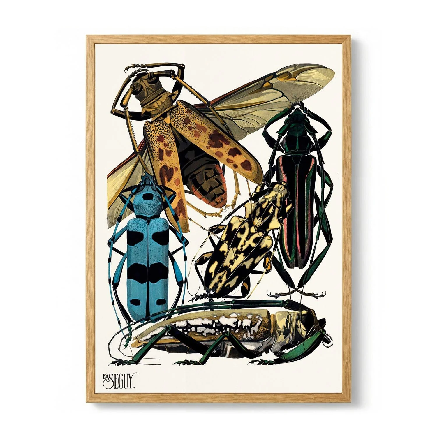 Insectes Pl.14 by Émile-Allain Séguy
