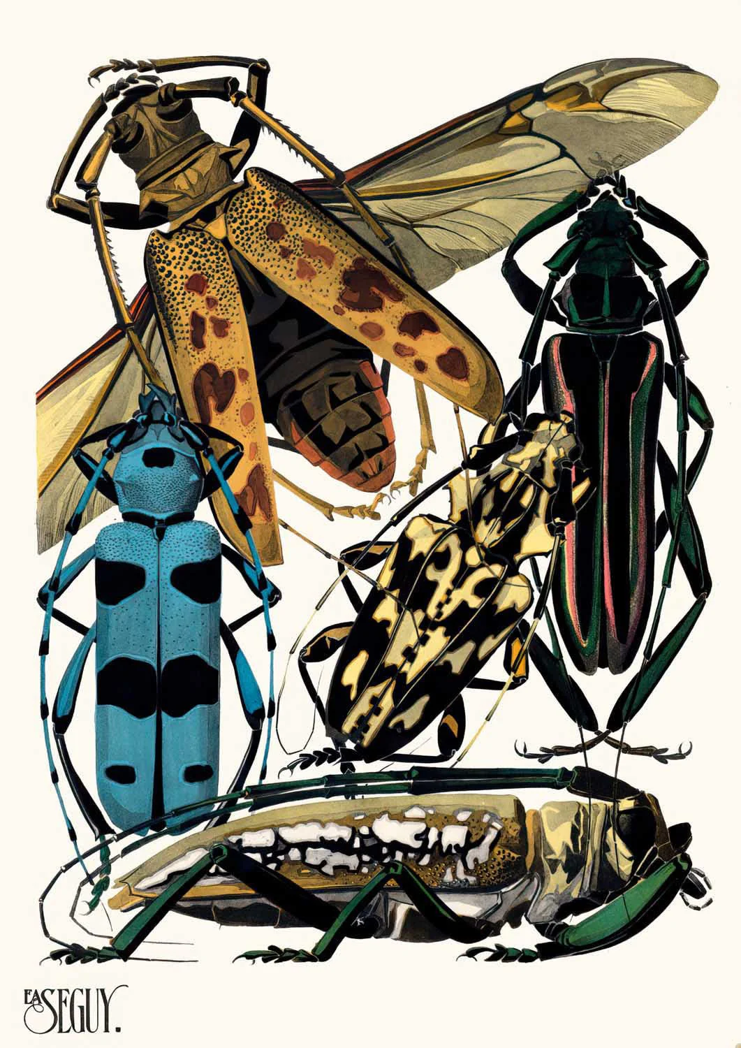 Insectes Pl.14 by Émile-Allain Séguy - Image 7