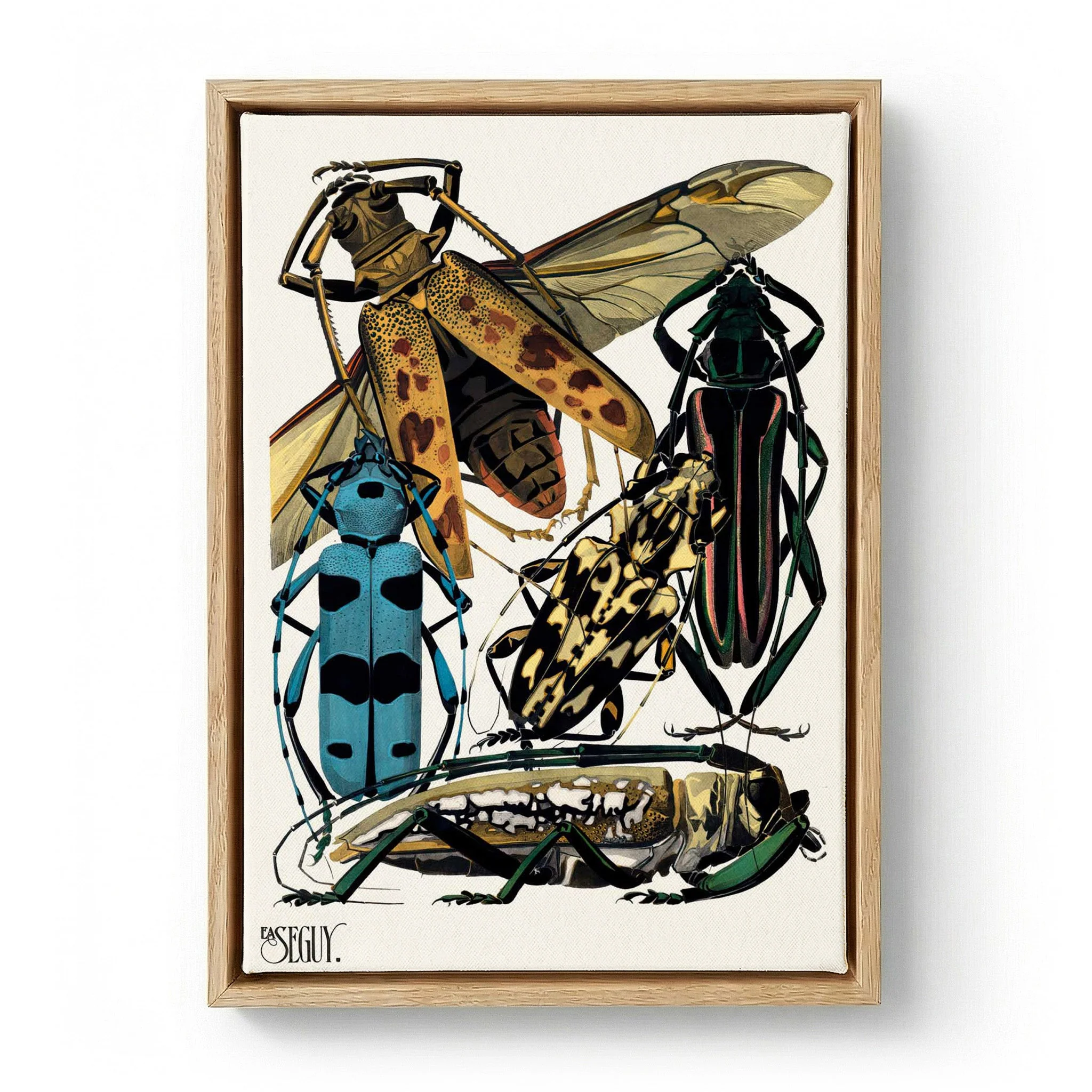 Insectes Pl.14 by Émile-Allain Séguy