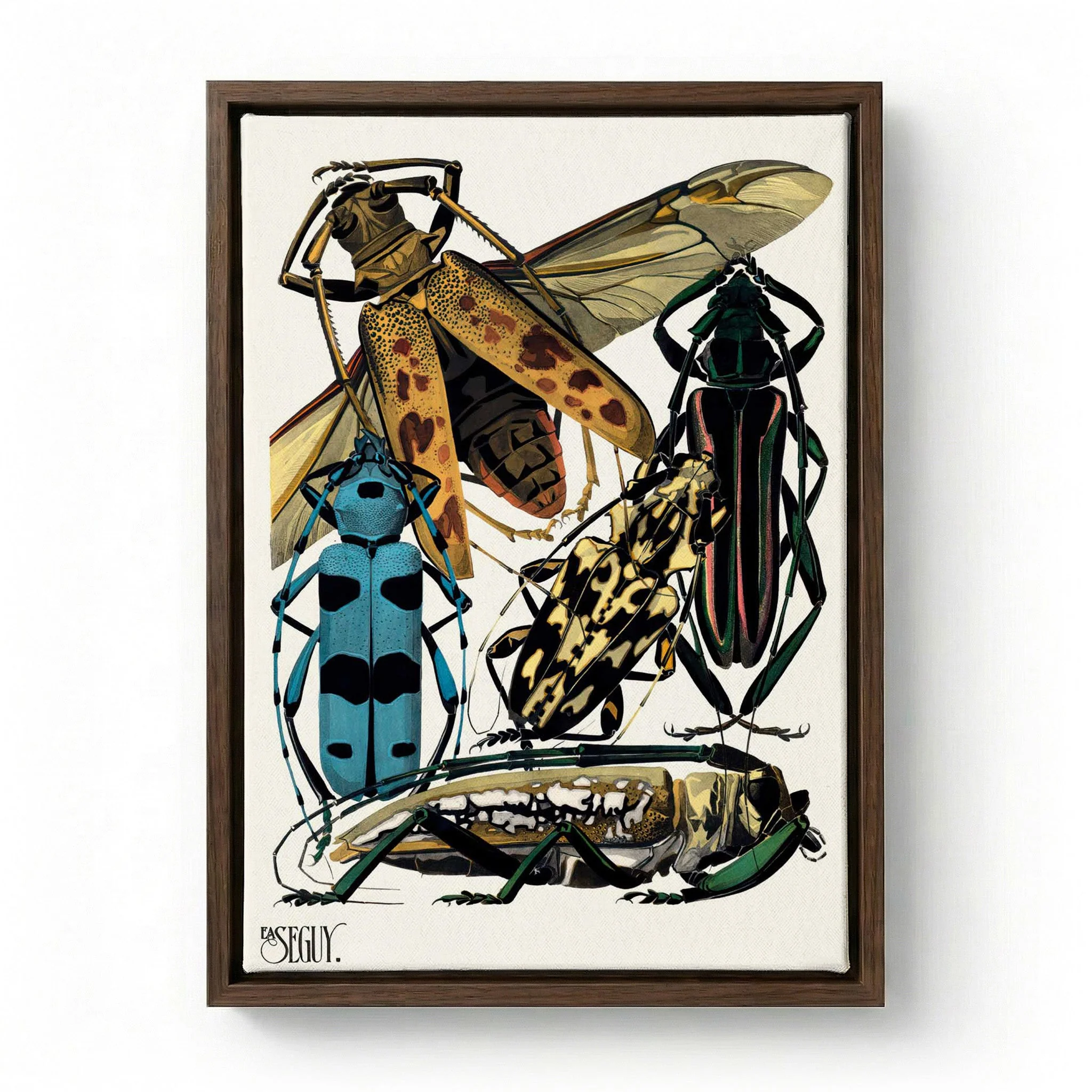 Insectes Pl.14 by Émile-Allain Séguy - Image 6