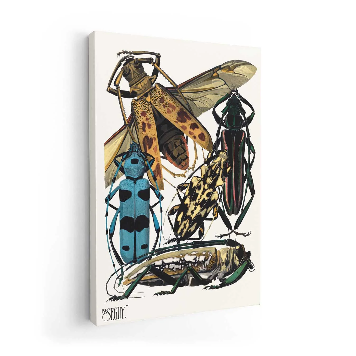 Insectes Pl.14 by Émile-Allain Séguy - Image 7