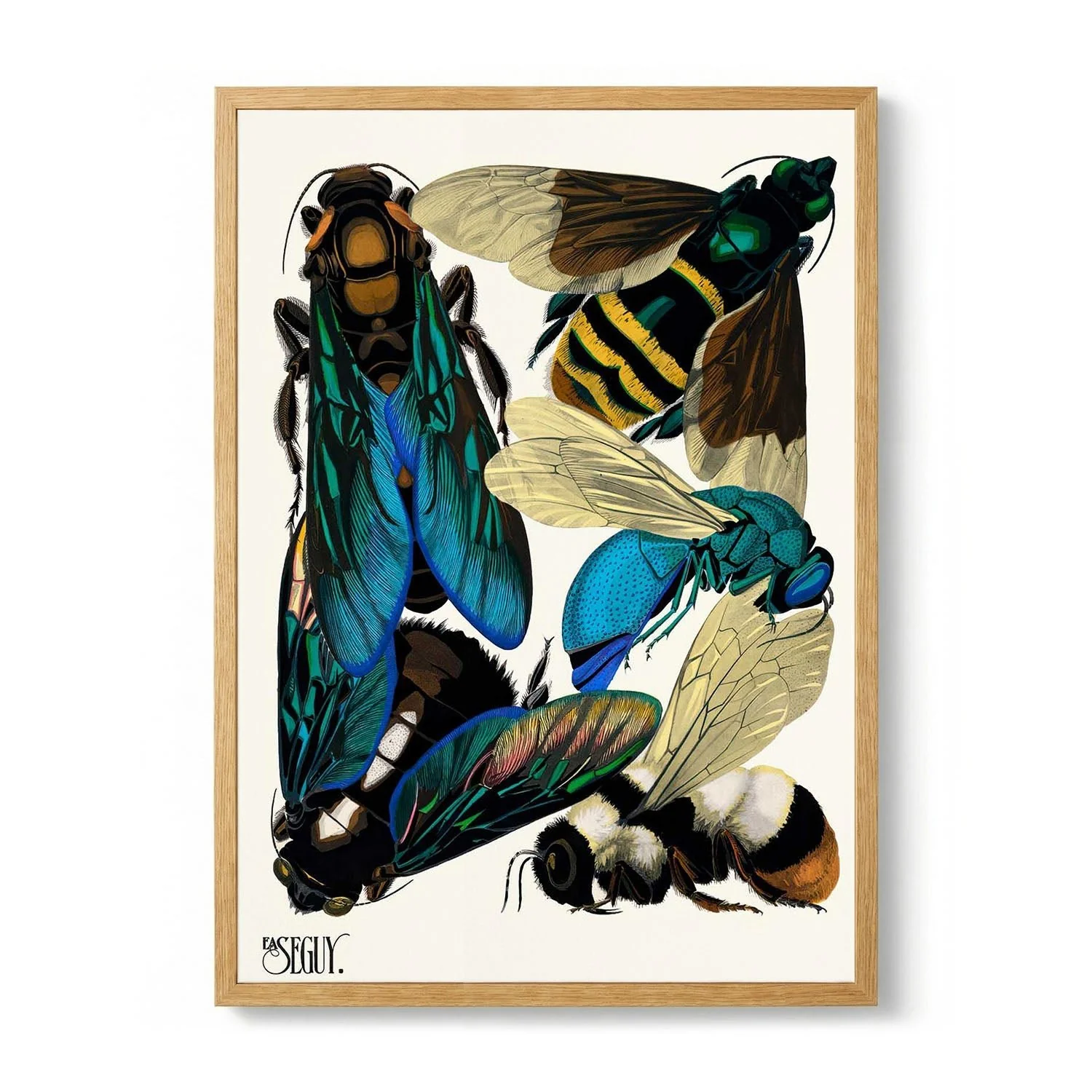 Insectes Pl.16 by Émile-Allain Séguy