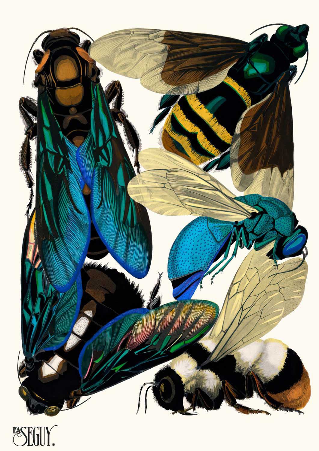 Insectes Pl.16 by Émile-Allain Séguy - Image 7