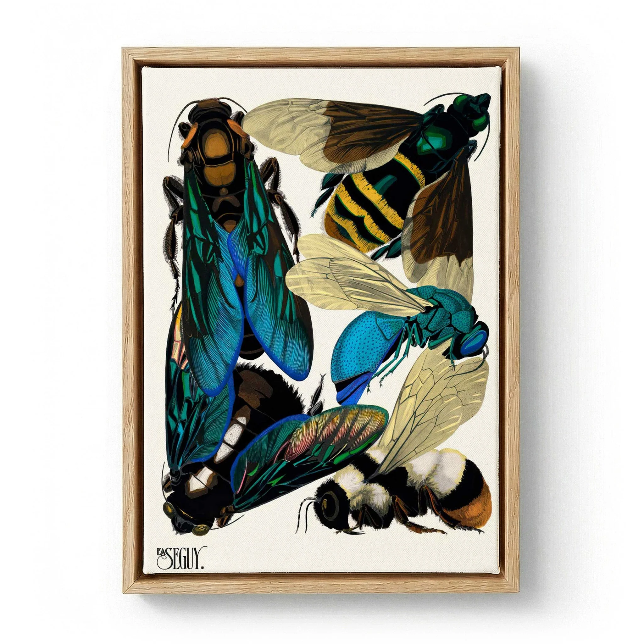 Insectes Pl.16 by Émile-Allain Séguy