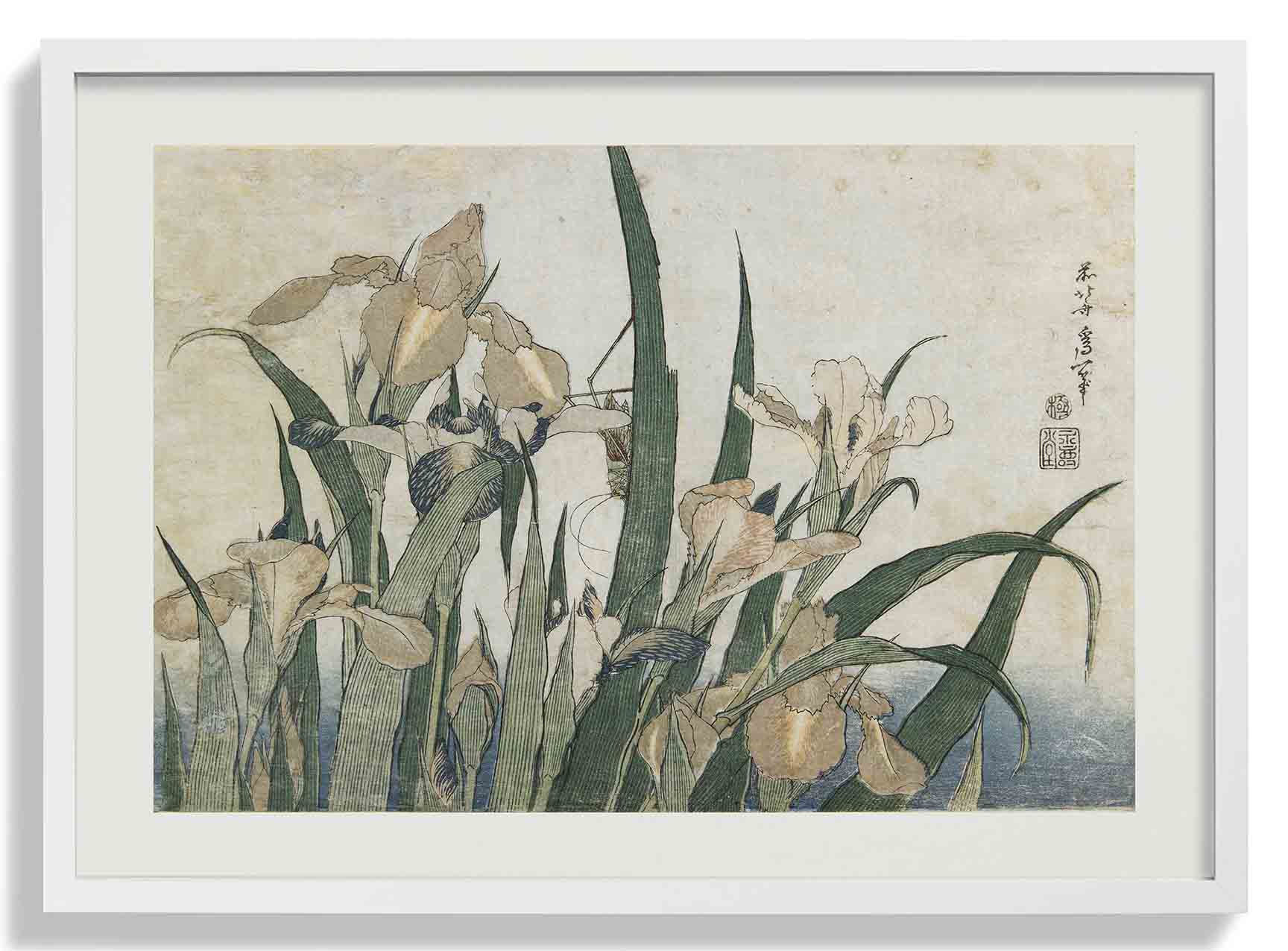 Irises and Grasshopper by Katsushika Hokusai - Image 5