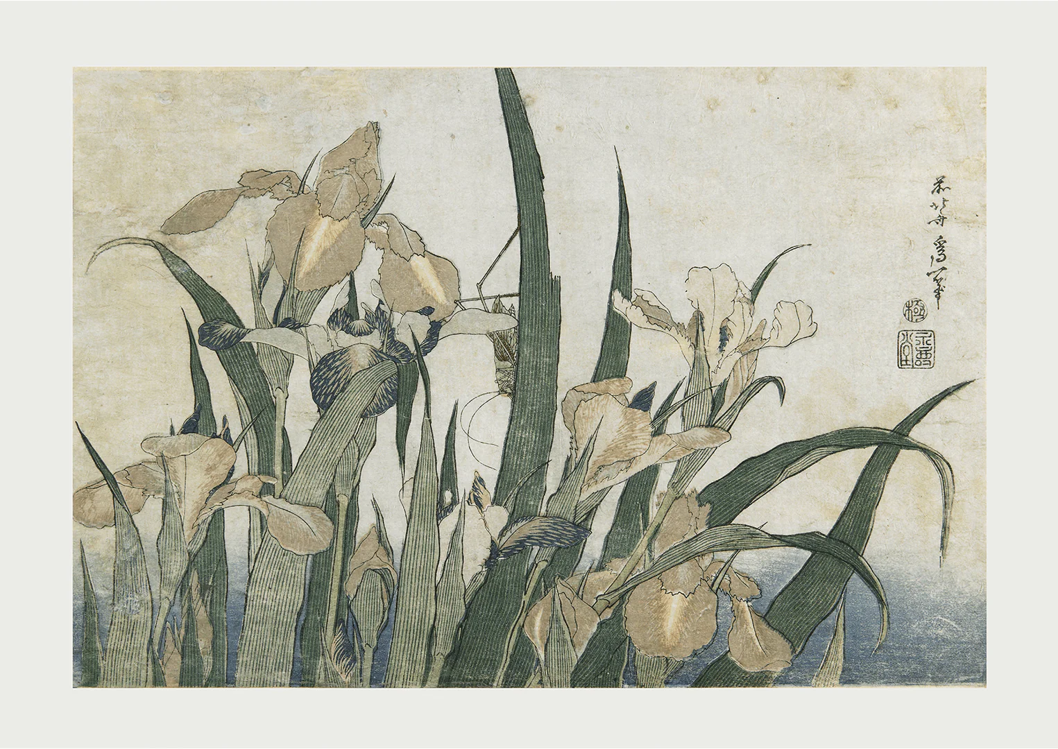 Irises and Grasshopper by Katsushika Hokusai - Image 8