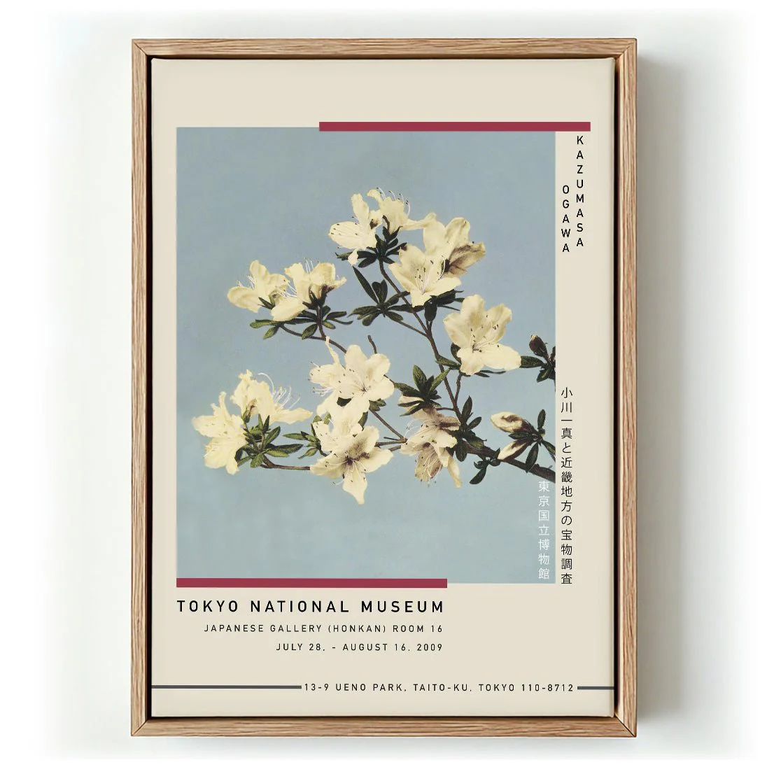 Japanese Azaleas by Kazumasa Exhibition