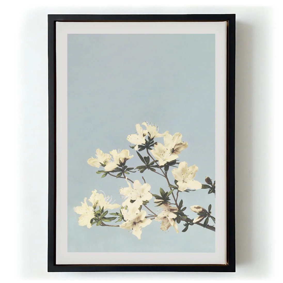 Japanese Azaleas by Ogawa Kazumasa - Image 5