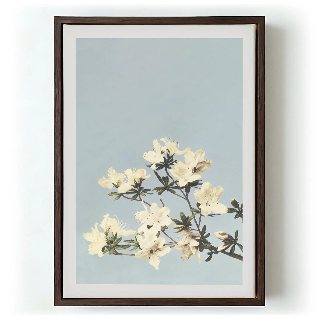 Japanese Azaleas by Ogawa Kazumasa - Image 6