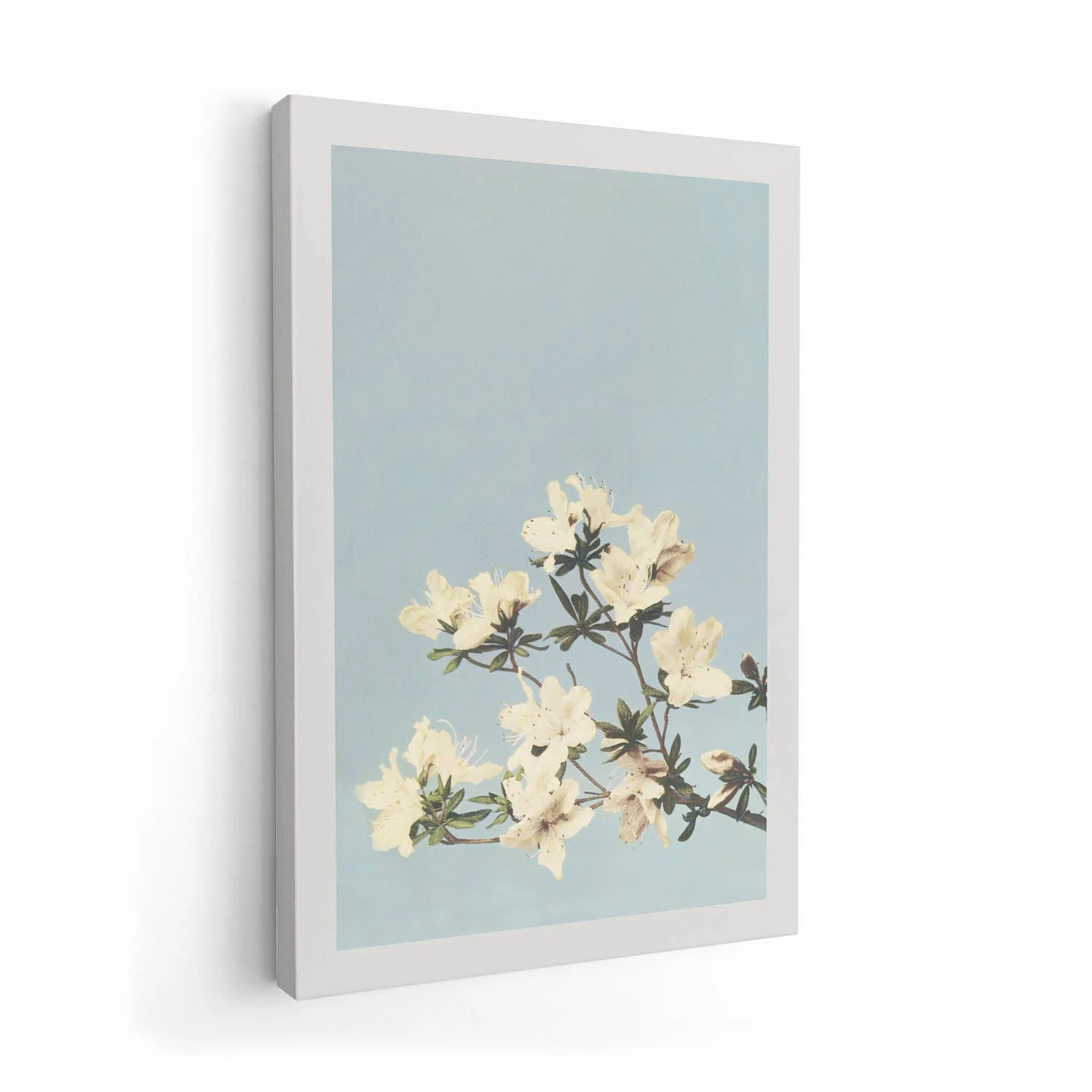 Japanese Azaleas by Ogawa Kazumasa - Image 7