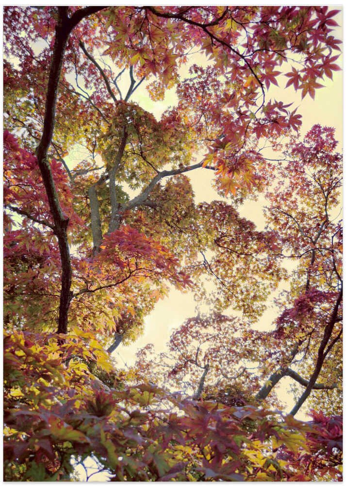 Japanese Garden by Angelo Cerantola - Image 8