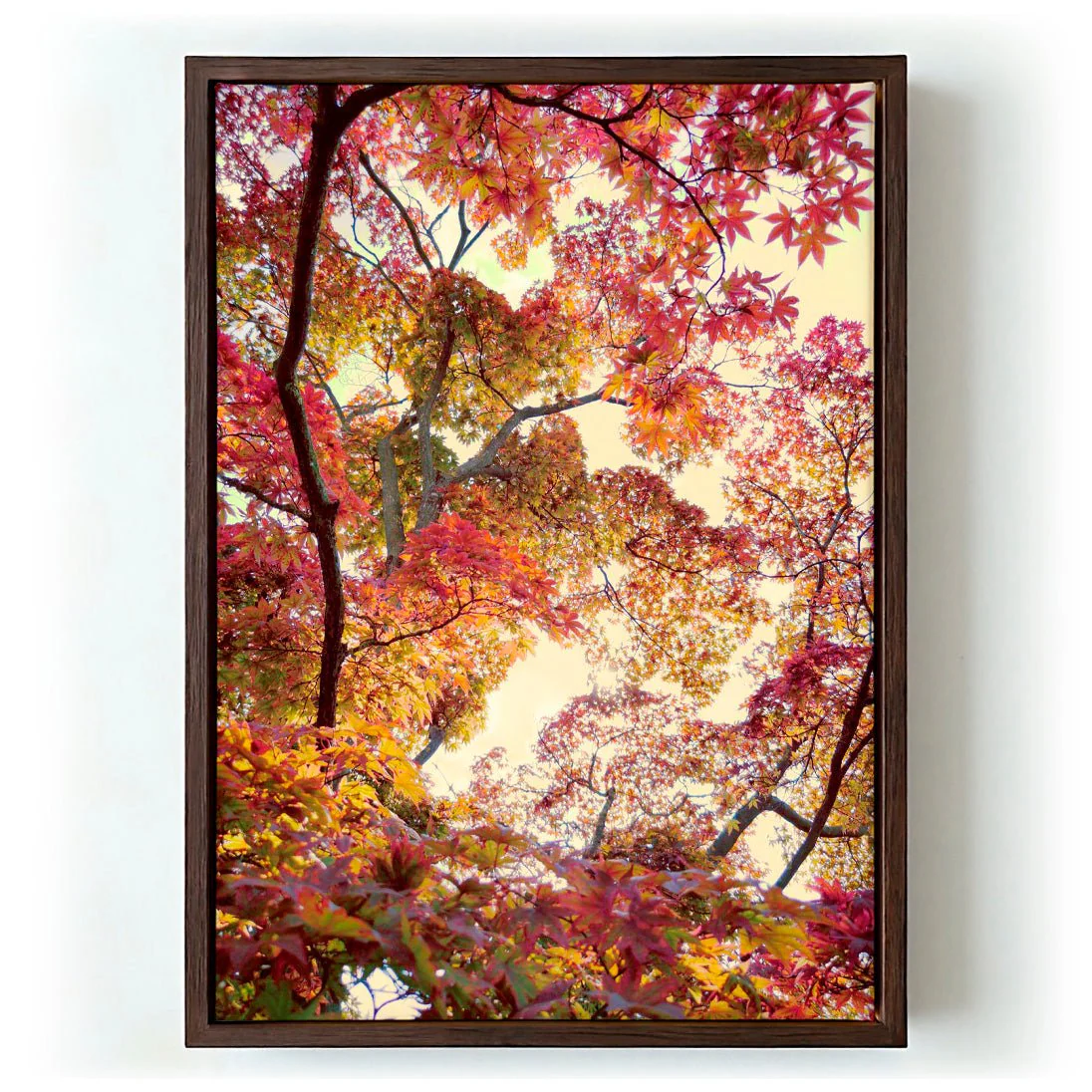 Japanese Garden by Angelo Cerantola - Image 6