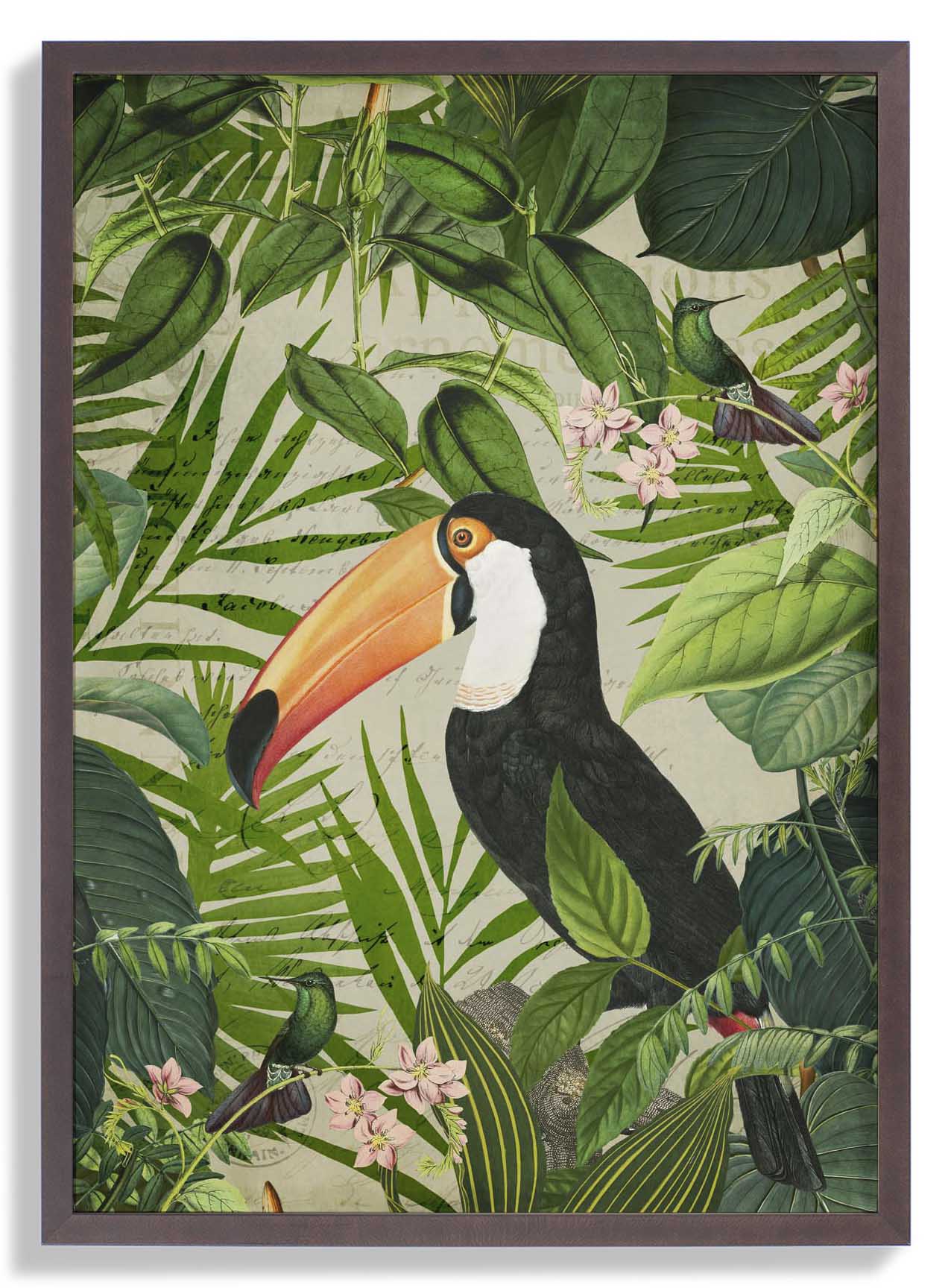 Jungle Toucan by Andrea Haase - Image 7