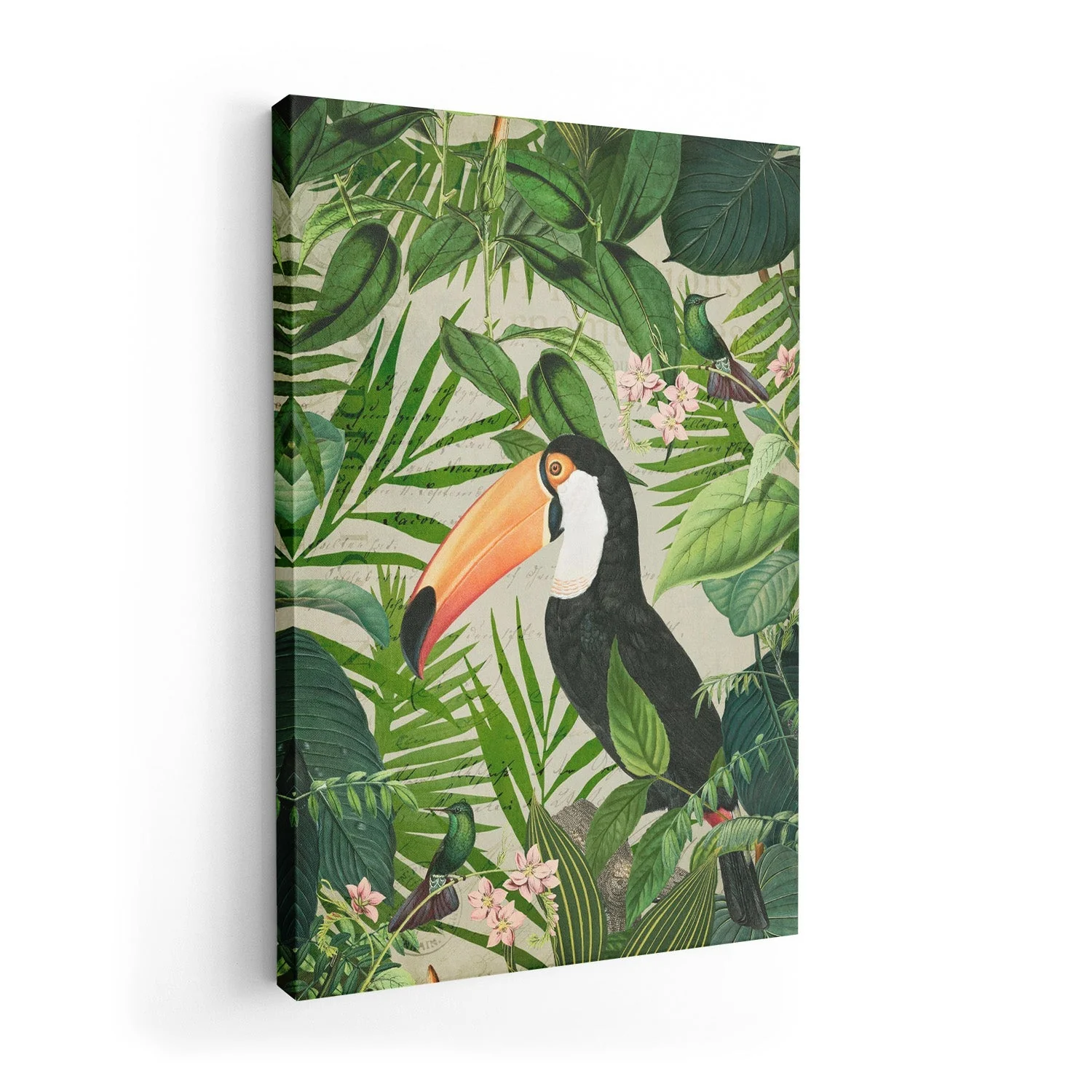 Jungle Toucan by Andrea Haase - Image 7